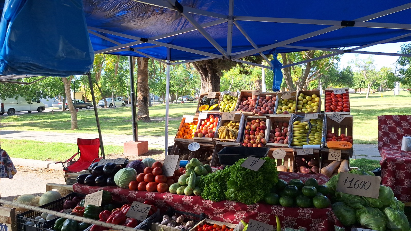 ÉPOCA DE SALSAS Y CONSERVAS: FRUTAS Y VERDURAS LOCALES AL MEJOR PRECIO EN LA FERIA FRANCA MUNICIPAL